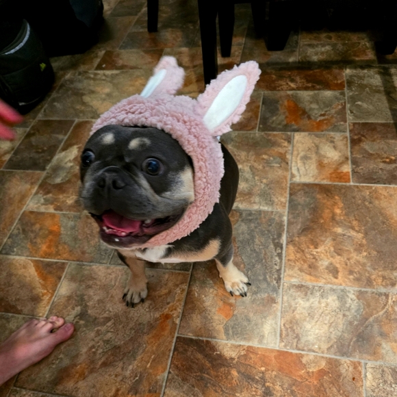 Meet your Posher, Michelle - Picture 1 of 1